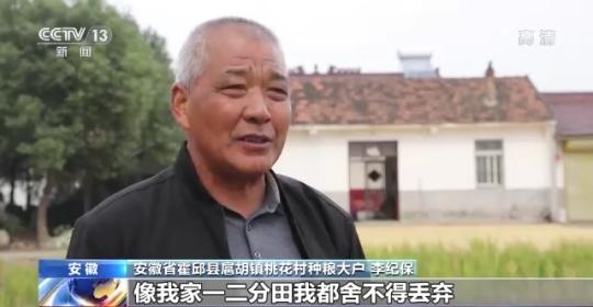十八連豐！秋收近九成 我國糧食產(chǎn)能穩(wěn)步提升
