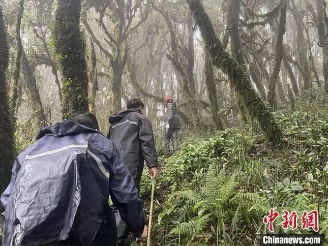 圖為救援現(xiàn)場(chǎng)。鎮(zhèn)沅縣委宣傳部提供