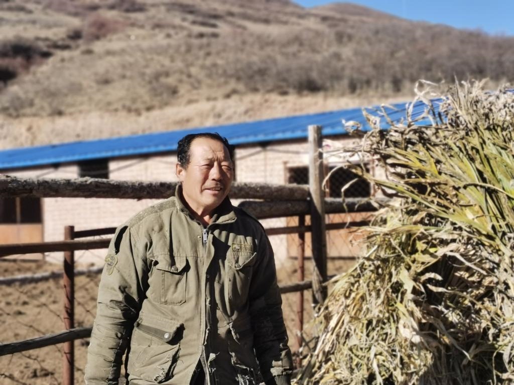 1月19日，山西省岢嵐縣脫貧戶呂如堂在牛圈前準(zhǔn)備草料。新華社記者 梁曉飛 攝