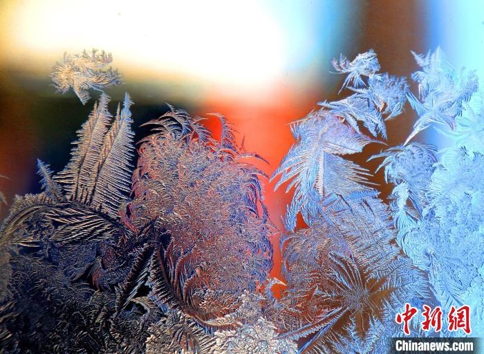 惟妙惟肖的冰窗花，似一幅風(fēng)景畫。　孫書程 攝