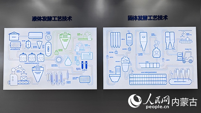 科拓生物工藝技術(shù)展示。人民網(wǎng)記者 張雪冬攝