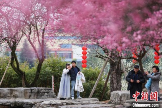 2月23日，市民在乾藝梅園景區(qū)觀賞綻放的梅花。瞿宏倫 攝