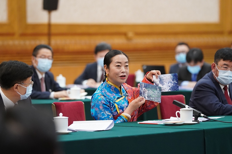 2021年3月7日，習(xí)近平總書記在參加十三屆全國人大四次會議青海代表團審議時，全國人大代表孔慶菊在會上展示了兩張照片，上面分別是祁連山地區(qū)多年不見蹤跡的雪豹和荒漠貓。