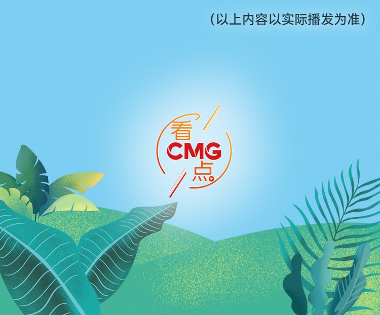 總臺周看點，來了！