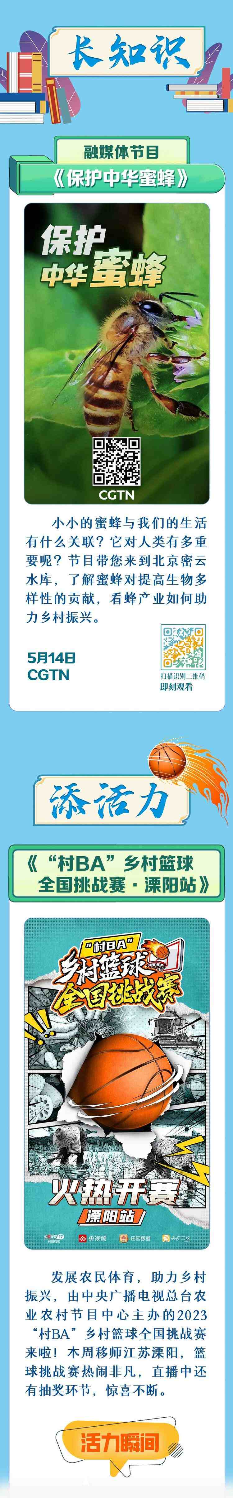 總臺周看點，來了！