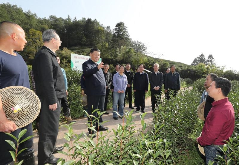 2021年3月22日，習(xí)近平總書記在福建南平武夷山市星村鎮(zhèn)燕子窠生態(tài)茶園，同科技特派員、茶農(nóng)親切交流，了解當(dāng)?shù)夭璁a(chǎn)業(yè)發(fā)展情況。
