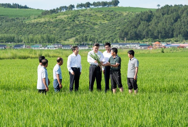 2015年7月16日，習(xí)近平總書記在吉林延邊州光東村稻田同村民和農(nóng)技人員交流。