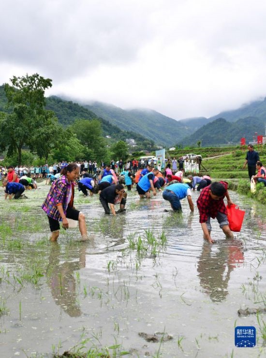5月27日，秭歸縣九畹溪鎮(zhèn)農(nóng)民參加摸魚比賽。
