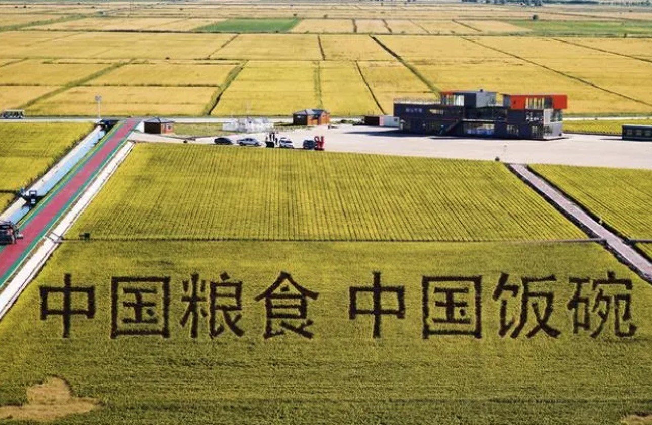 2022年9月2日，黑龍江省富錦市萬(wàn)畝水稻科技示范園內(nèi)的稻田畫(huà)。
