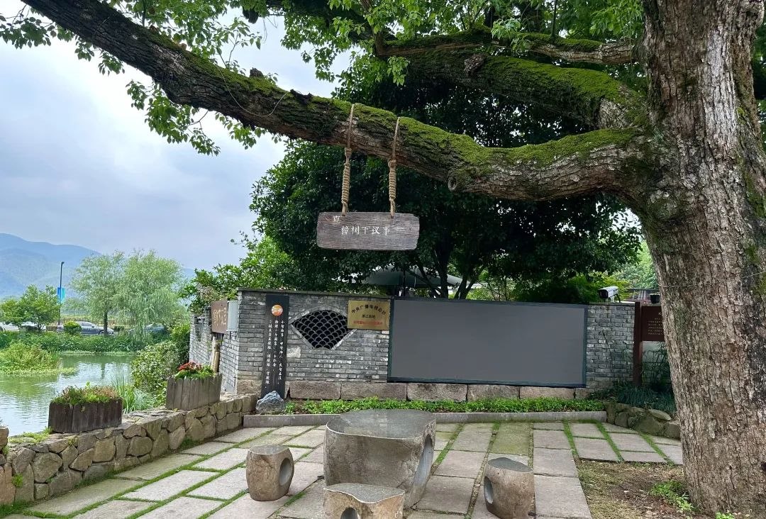 浙江省杭州市余杭區(qū)小古城村的“樟樹下議事”木制字牌。靜玄 攝