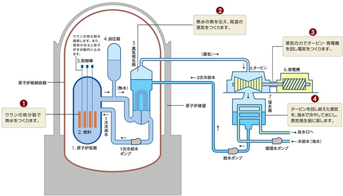 核電站運作原理圖。通常的核電站排水未直接接觸核燃料。（圖片來源：日本北海道電力株式會社網(wǎng)站）
