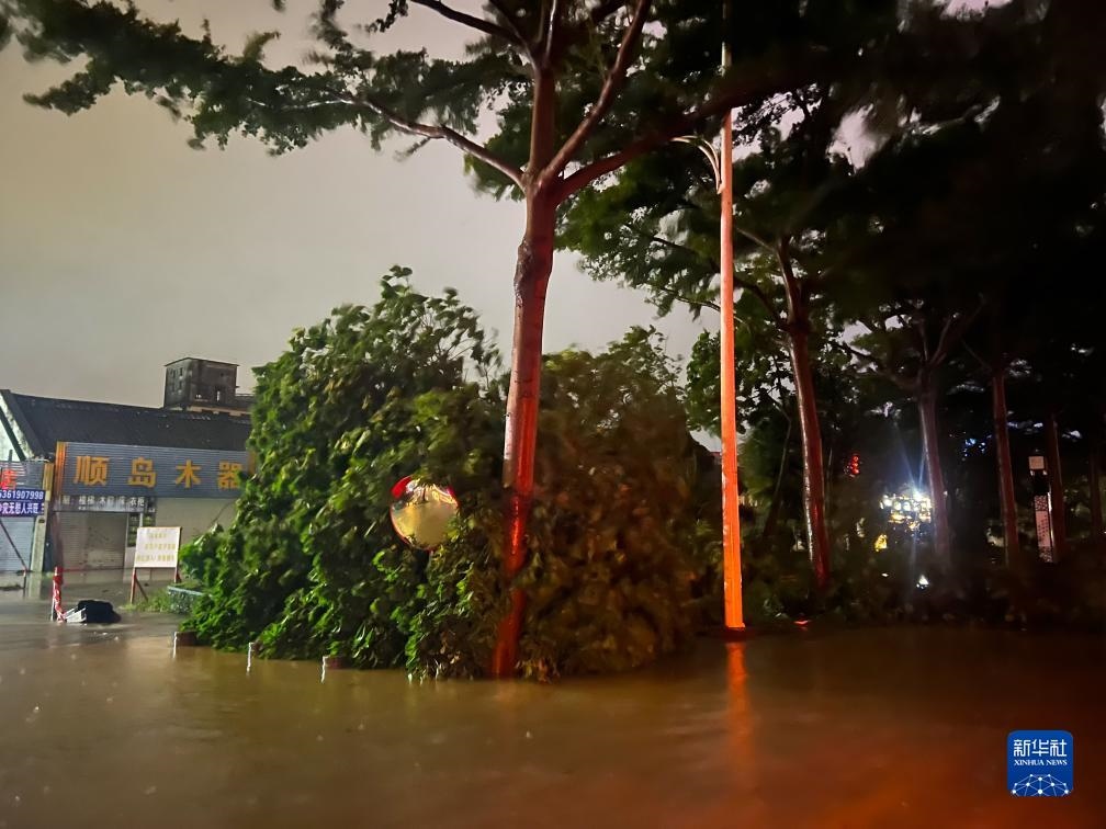 7月17日晚，在廣東湛江海濱大道北，路邊的樹木被風(fēng)刮倒（手機(jī)照片）。新華社記者 鄧華 攝