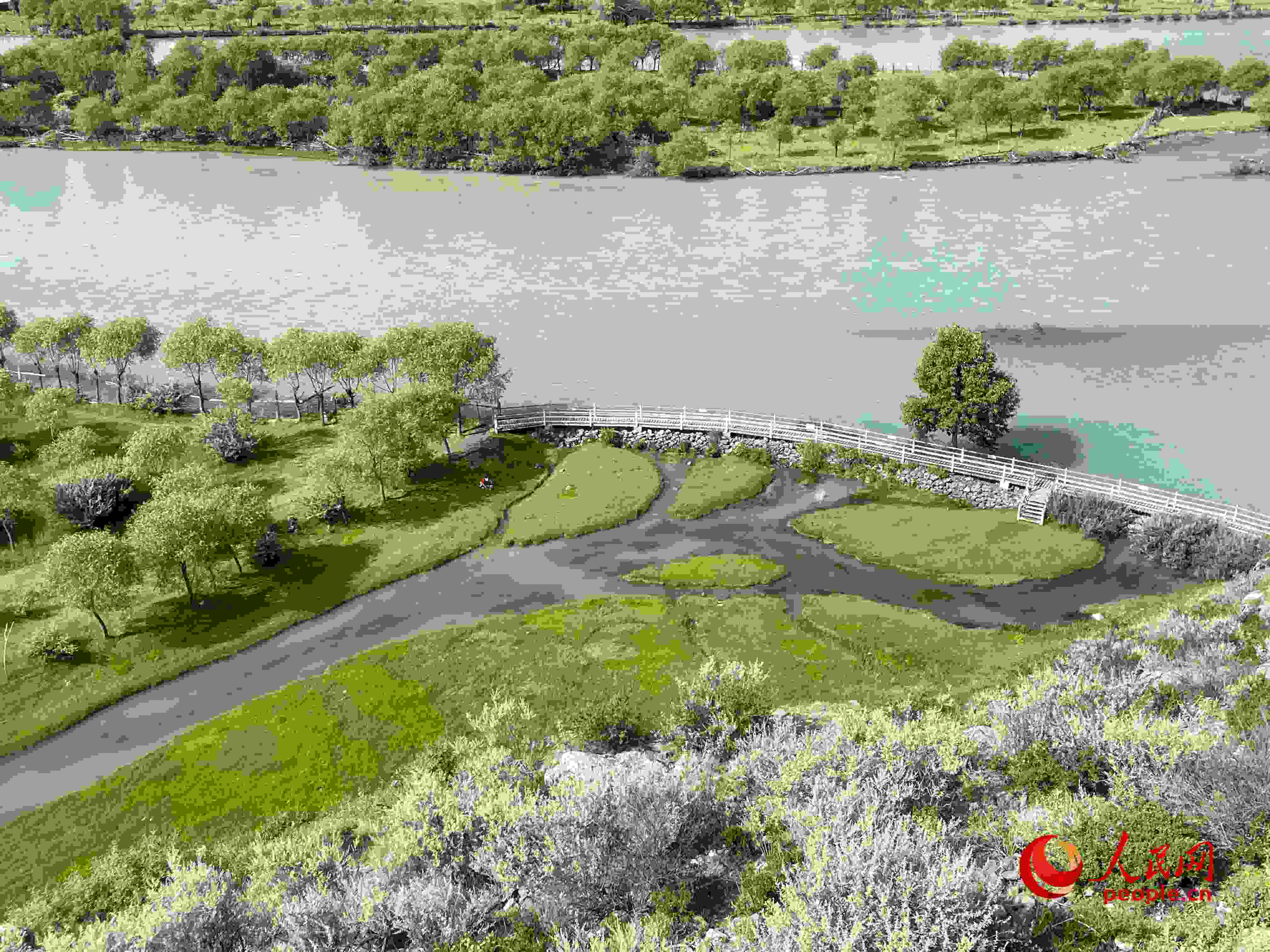 夏日的雅尼國家濕地公園生機(jī)盎然，如詩如畫。人民網(wǎng) 周靜圓攝