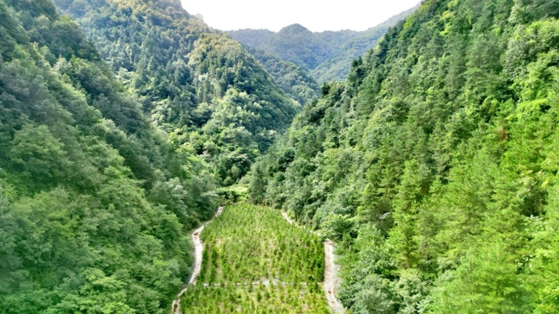 建設(shè)中的西氣東輸三線中段。受訪者供圖