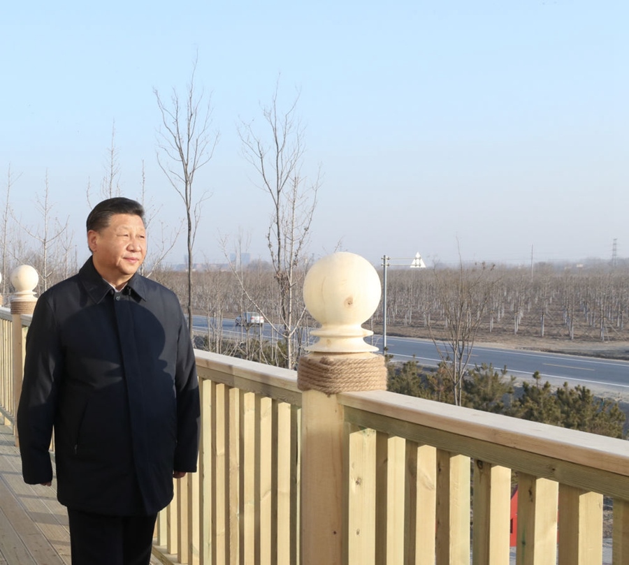 2019年1月16日，習近平在河北雄安新區(qū)考察調研。在“千年秀林”大清河片林一區(qū)造林區(qū)域，習近平登上秀林驛站二層平臺遠眺林區(qū)全貌。