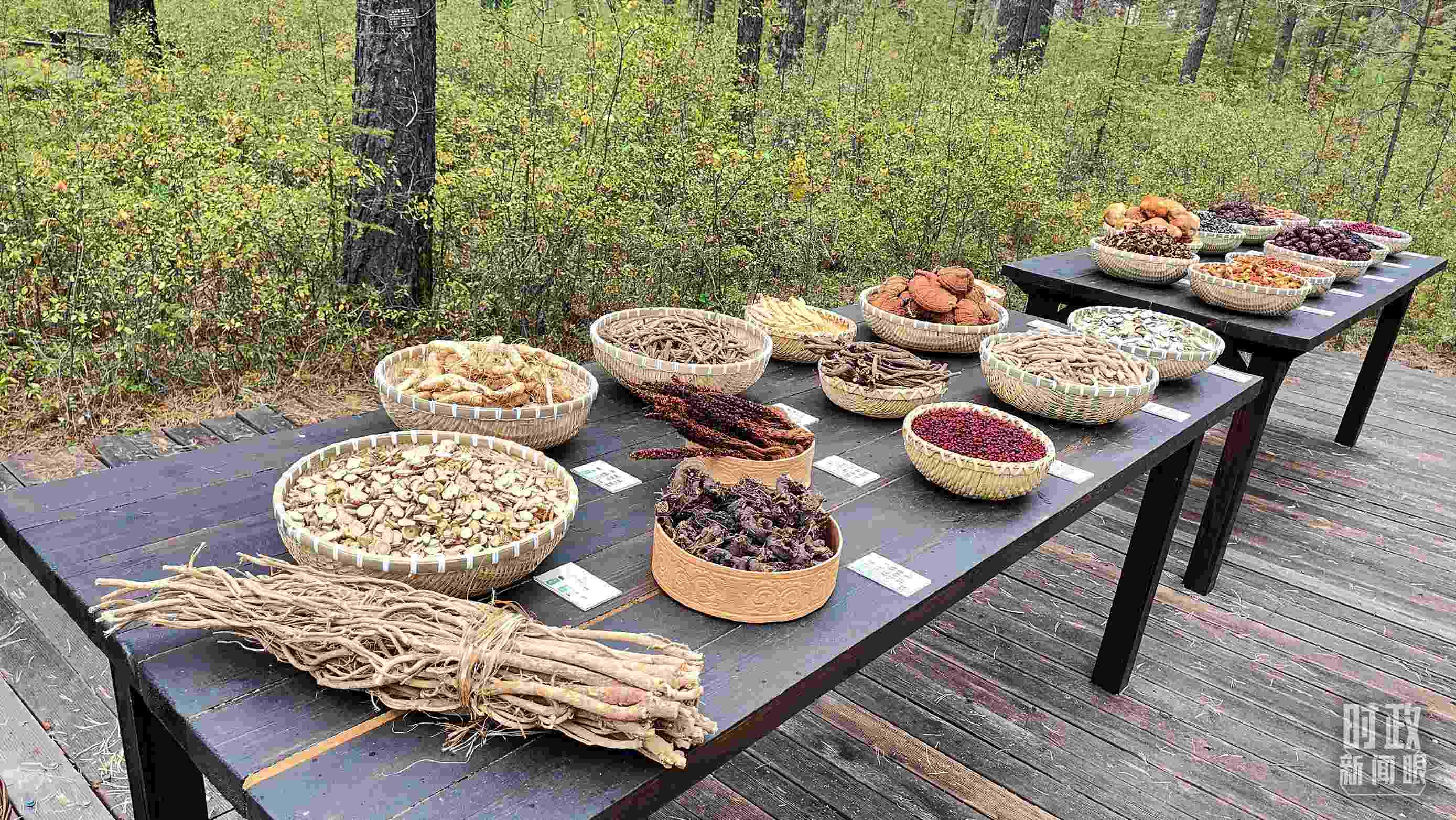 △林場里的食用菌、林果等特產(chǎn)。（總臺央視記者楊立峰拍攝）