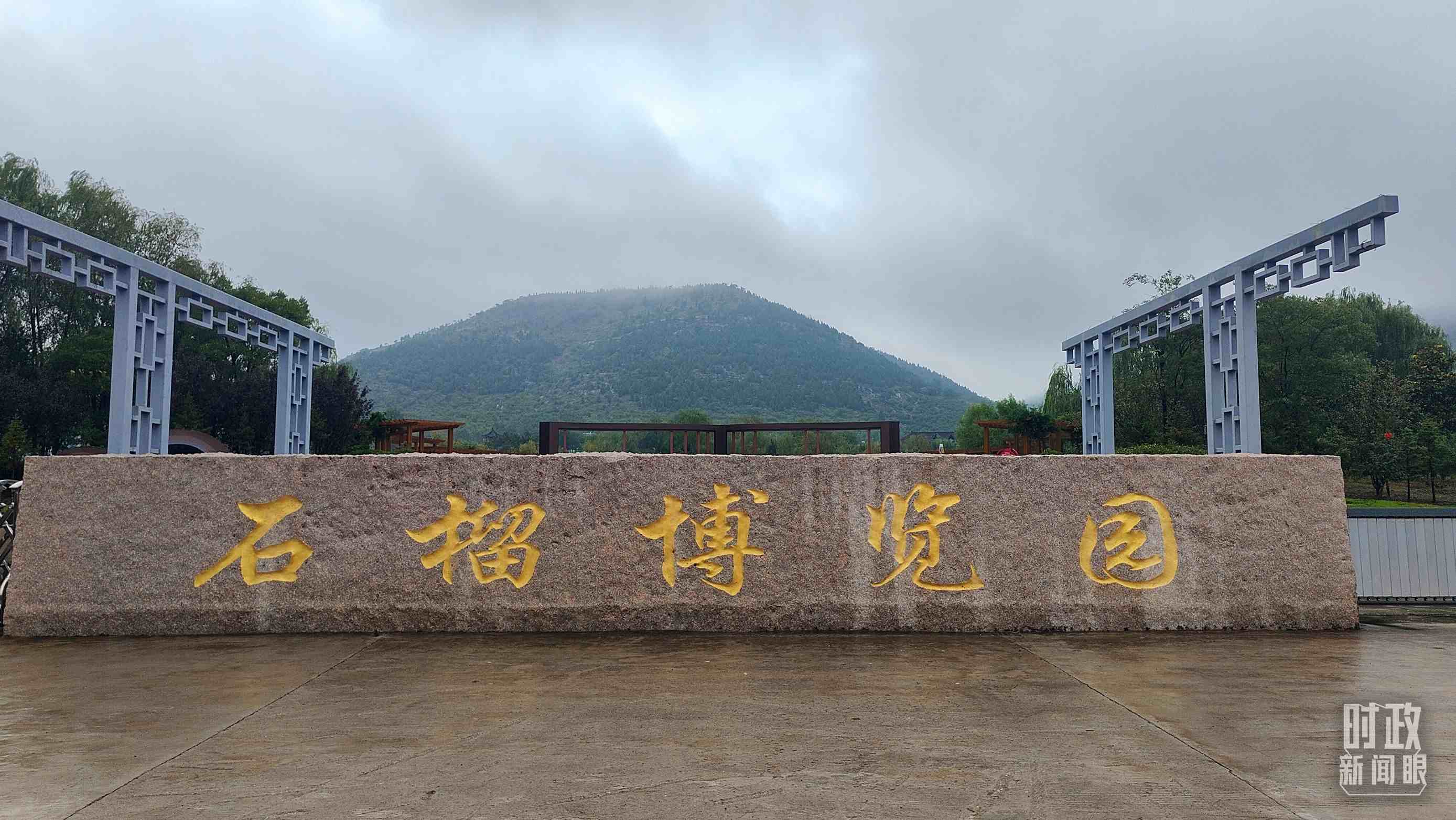 △石榴種質資源庫位于石榴博覽園內。（總臺央視記者楊立峰拍攝）