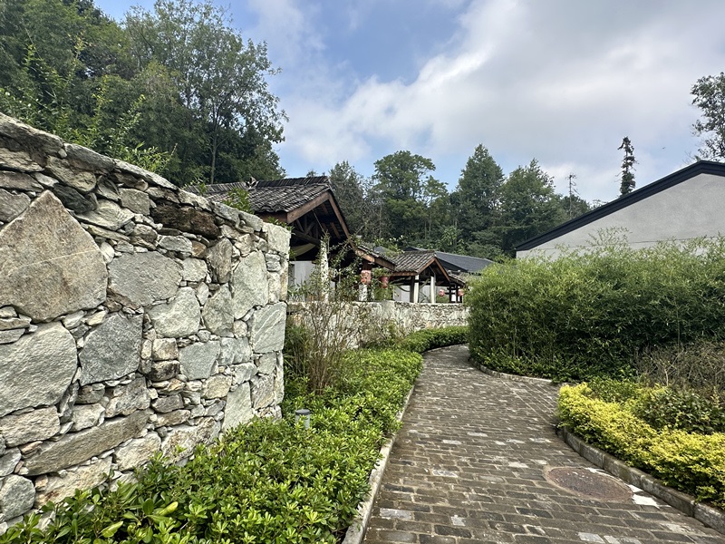 眾多民宿坐落于夫子山山麓。人民網(wǎng) 王紹紹攝