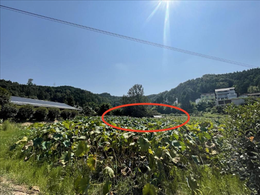 曾經(jīng)的圣水園所在地。 人民網(wǎng)記者 楊喬攝