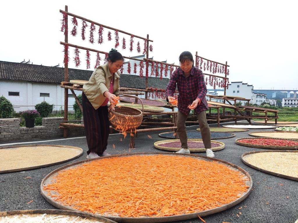 近日，江西省上饒市婺源縣秋口鎮(zhèn)王村的村民正在晾曬農(nóng)作物。新華社記者 劉佳敏 攝