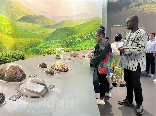 （在中國藥都中醫(yī)藥博物館，外媒記者了解中醫(yī)藥發(fā)展史。中國經(jīng)濟(jì)周刊記者 郭志強 攝）