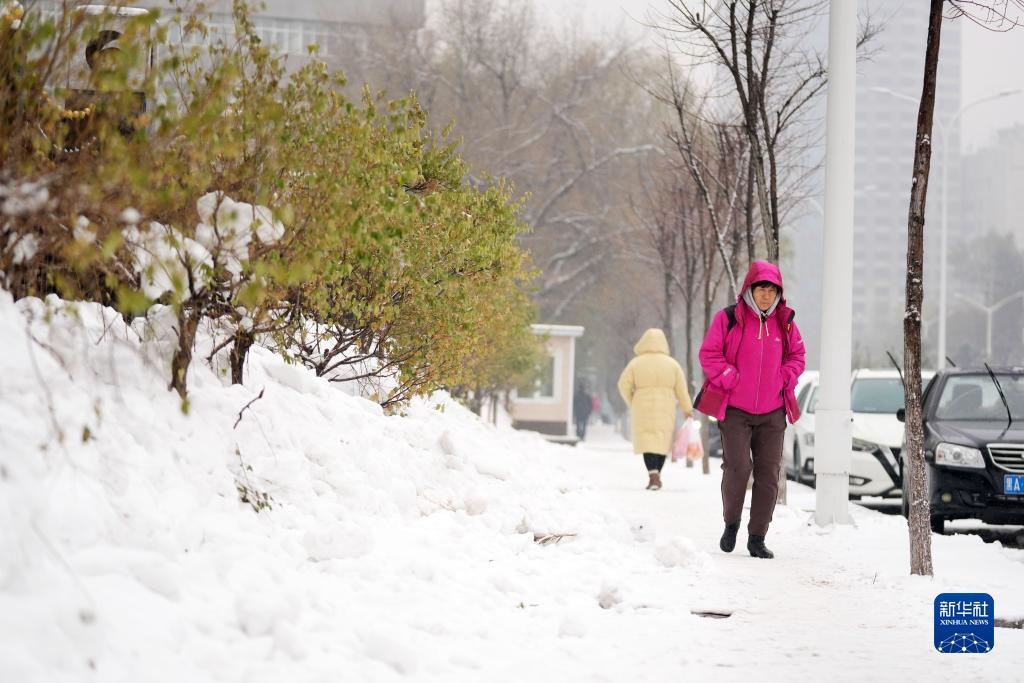 11月16日，市民在雪中前行。當(dāng)日，黑龍江哈爾濱市迎來雨雪天氣。新華社記者 王建威 攝