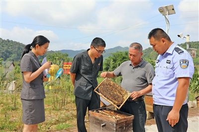  圖②：蒙山法院黃村法庭法官深入蜂蜜合作社，實(shí)地了解蜂農(nóng)需求。