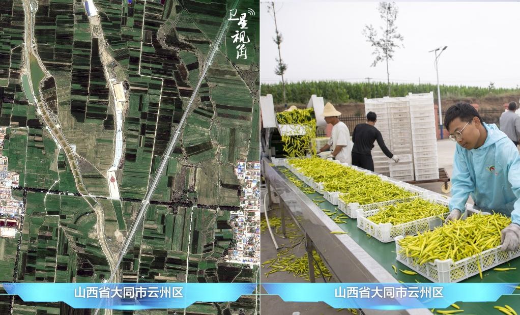 當(dāng)前，大同市開發(fā)黃花菜品、食品、飲品、功能食品、化妝品、文創(chuàng)產(chǎn)品六大系列130余種，全產(chǎn)業(yè)鏈產(chǎn)值超40億元。