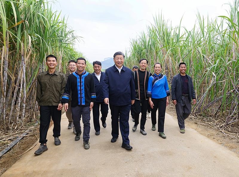 2023年12月14日，習(xí)近平總書記在廣西來(lái)賓市國(guó)家現(xiàn)代農(nóng)業(yè)產(chǎn)業(yè)園黃安優(yōu)質(zhì)“雙高”糖料蔗基地考察。