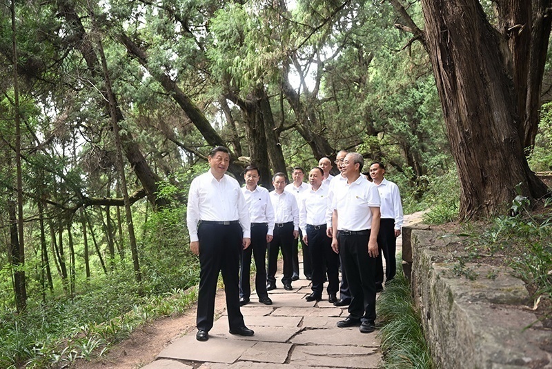 2023年7月25日，習(xí)近平總書記在四川廣元市劍閣縣翠云廊考察。新華社記者 謝環(huán)馳 攝