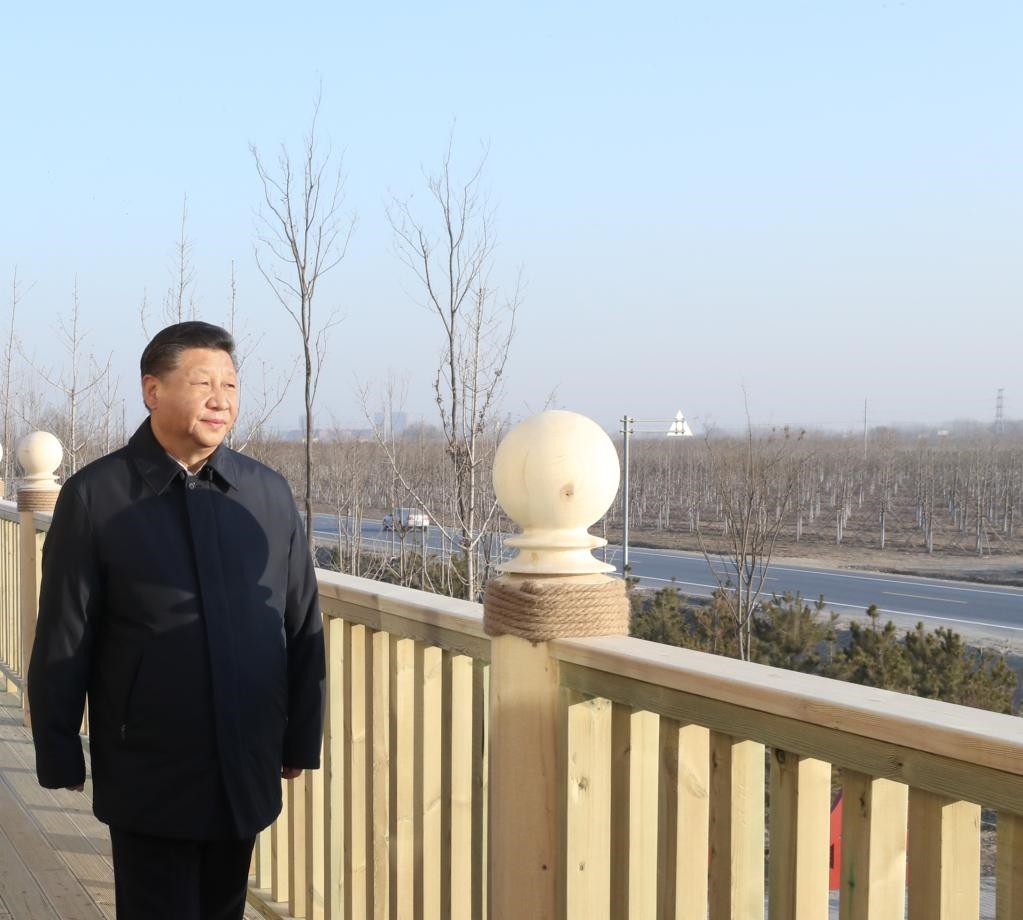 2019年1月16日，在河北雄安新區(qū)“千年秀林”大清河片林一區(qū)造林區(qū)域，習(xí)近平總書記登上秀林驛站二層平臺(tái)遠(yuǎn)眺林區(qū)全貌。新華社記者 鞠鵬 攝