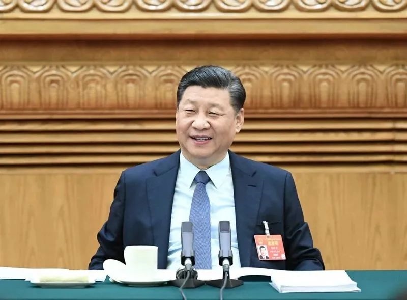 2019年3月8日，習(xí)近平參加十三屆全國人大二次會議河南代表團(tuán)的審議。新華社記者 謝環(huán)馳 攝