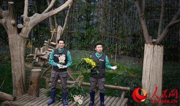熊貓飼養(yǎng)員姜哲遠和宋永寬向媒體介紹為“福寶”準備的送別禮物。人民網(wǎng) 李帆攝