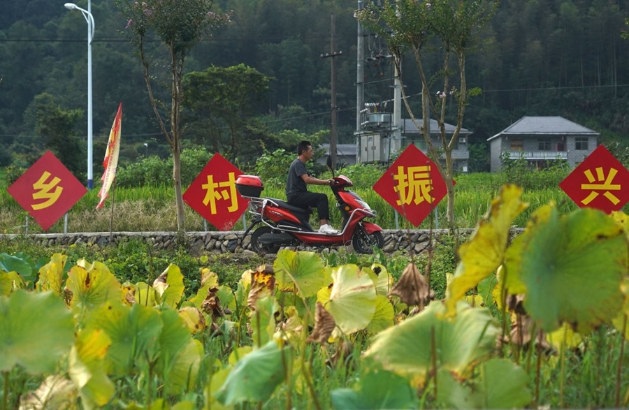 2023年8月24日拍攝的江西省靖安縣璪都鎮(zhèn)港背村一景。該村在當(dāng)?shù)卣С窒拢薰沤?，建民宿，搞開發(fā)，引進(jìn)竹筏漂流、觀光采摘、農(nóng)耕體驗、森林研學(xué)等多種旅游業(yè)態(tài)，建成新田園生態(tài)度假小鎮(zhèn)，發(fā)展鄉(xiāng)村旅游，走上致富路。