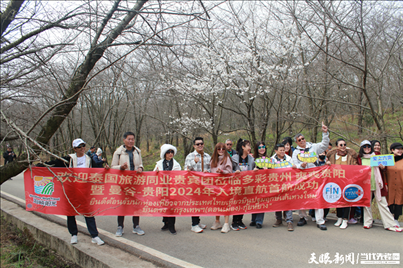 首個(gè)泰國入境旅游團(tuán)打卡貴安櫻花園。