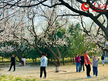 游客在北京長陽公園賞花。人民網(wǎng)記者 劉微攝