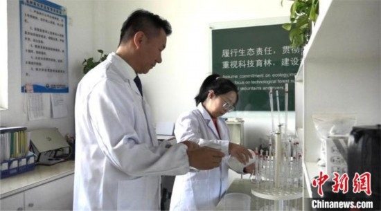 圖為王佐(左一)在廠區(qū)實(shí)驗(yàn)室內(nèi)工作。白先森 攝