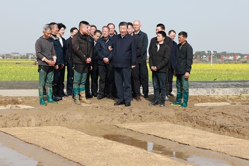 △2024年3月19日，在湖南常德市鼎城區(qū)謝家鋪鎮(zhèn)港中坪村，習(xí)近平總書(shū)記走進(jìn)田間，察看秧苗培育和春耕備耕進(jìn)展。