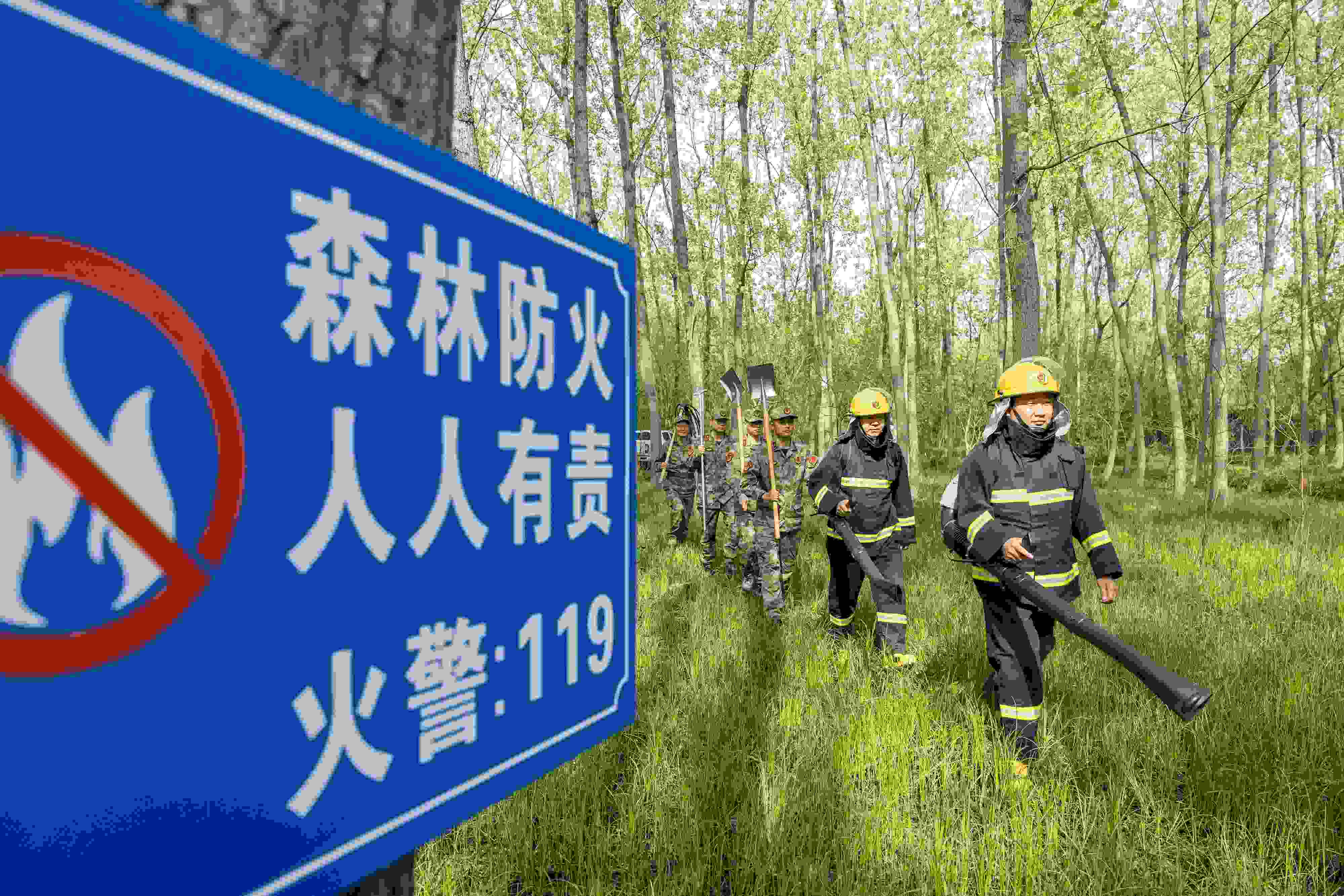 2024年4月9日，合肥市大房郢水庫水源保護地廬陽經濟開發(fā)區(qū)段，基干民兵正在林間巡查火災隱患。