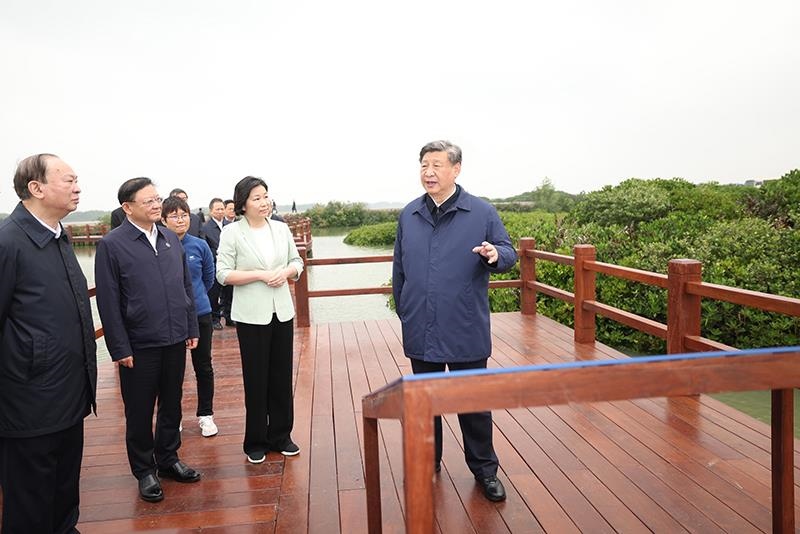 △2023年4月10日，習近平總書記在廣東湛江市麻章區(qū)湖光鎮(zhèn)金牛島紅樹林片區(qū)考察。