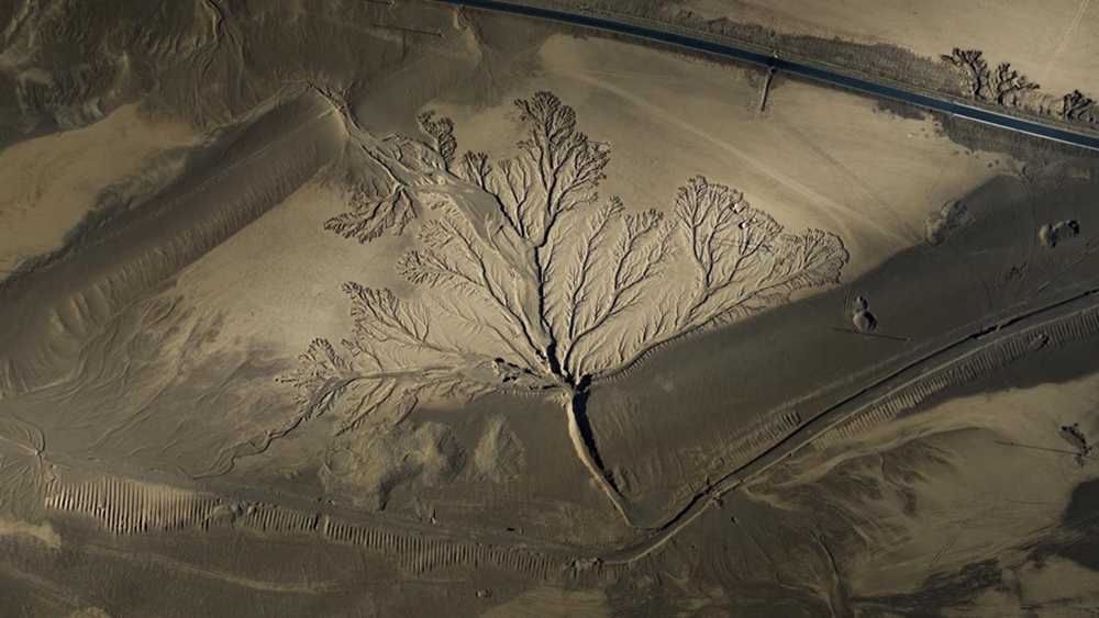 無人機(jī)視角下的西藏阿里地區(qū)改則縣“大地之樹”景觀。尼瑪多吉攝