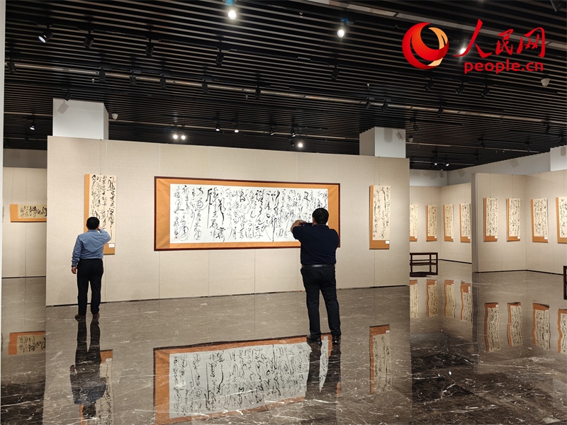觀眾正在參觀展覽。人民網記者 韋衍行攝