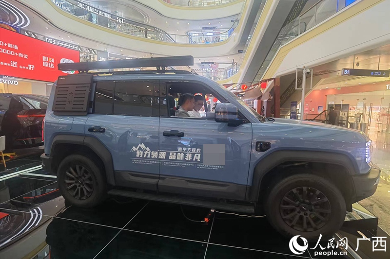 消費(fèi)者在商場(chǎng)選購(gòu)汽車(chē)。人民網(wǎng)記者 陳燕攝