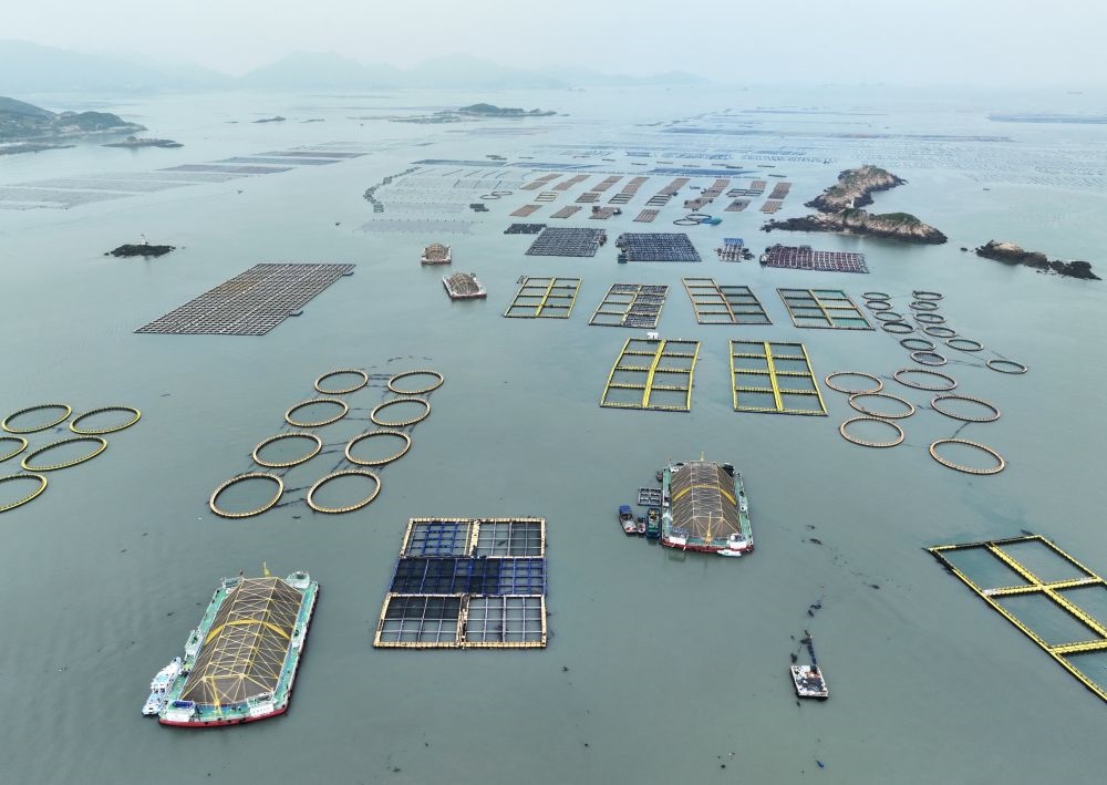在福建連江定海灣海域，坐落著“定海灣1號”“定海灣2號”等深遠海養(yǎng)殖平臺（2024年5月7日攝，無人機照片）。新華社記者 林善傳 攝