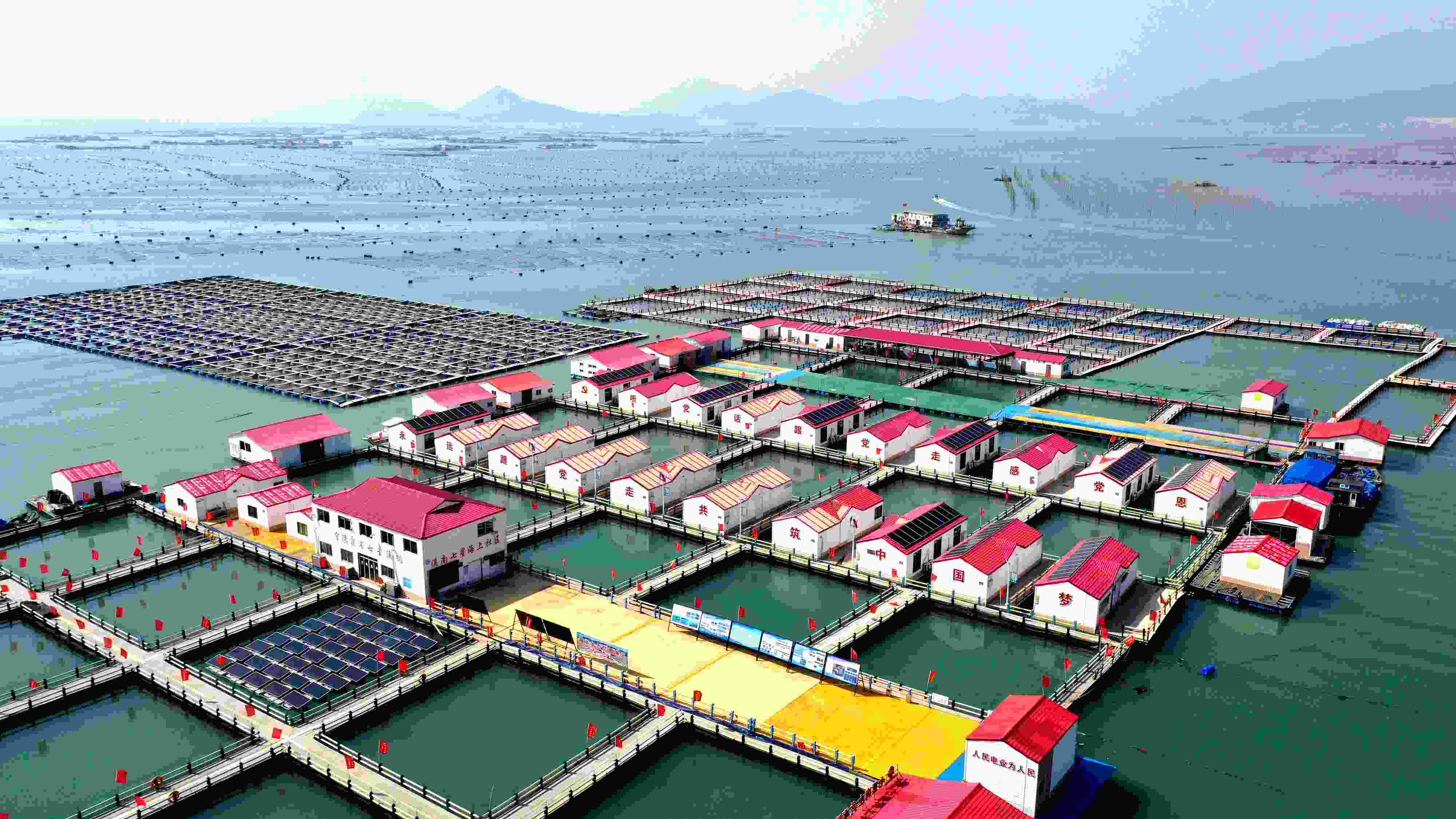 2024年3月20日，福建省寧德市，霞浦縣溪南鎮(zhèn)七星村漁排養(yǎng)殖示范區(qū)，漁民駕駛養(yǎng)殖船進(jìn)行海參養(yǎng)殖作業(yè)。