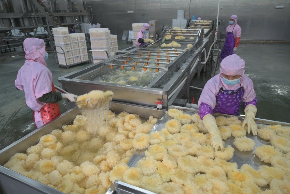 2024年5月10日，在福建省寧德市古田縣，一家食品公司的工作人員在挑選清洗銀耳。新華社記者 林善傳 攝
