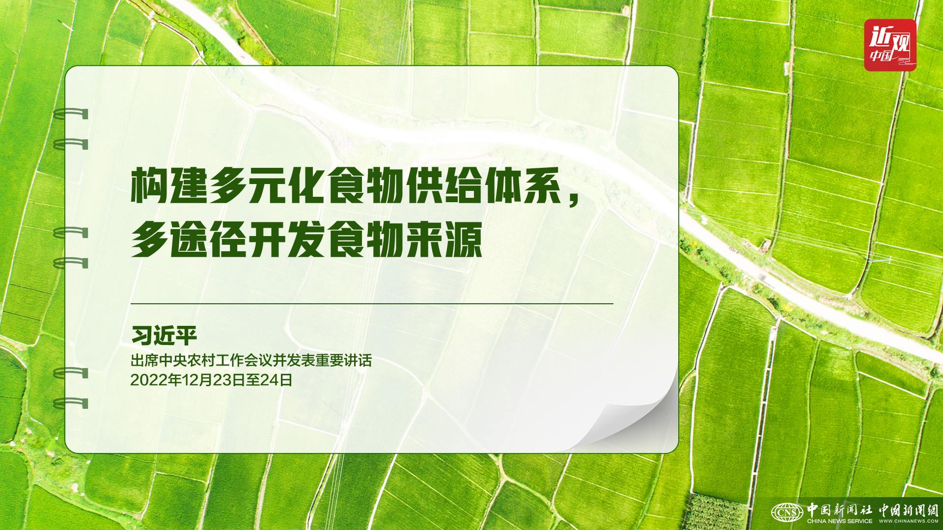 習(xí)近平：樹立大食物觀，構(gòu)建多元化食物供給體系