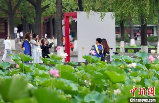 6月19日，時(shí)值一年畢業(yè)季，四川大學(xué)望江校區(qū)荷花池里的荷花盛開(kāi)，成為了畢業(yè)生們的打卡圣地，吸引了眾多畢業(yè)生拍照留念。圖為畢業(yè)生在荷花池邊拍照留念。中新社記者 安源 攝