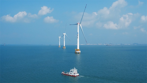 福建興化灣海上風(fēng)電場。受訪者供圖