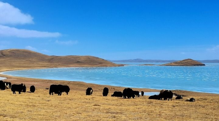 在三江源國(guó)家公園黃河源園區(qū)拍攝的扎陵湖風(fēng)光（2022年3月12日攝）。新華社記者 呂雪莉 攝